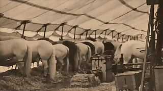 Dark Lantern Entertainment Hand-outs 'The Dragonfly' Scene 3 Pt.1