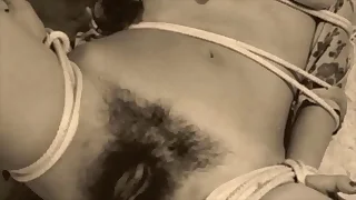 My Secret Life&comma; Vintage Bondage