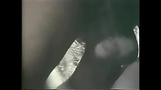 Vintage Interracial Be captivated by 1